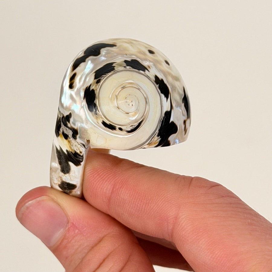 Vintage Carved Shell Ring