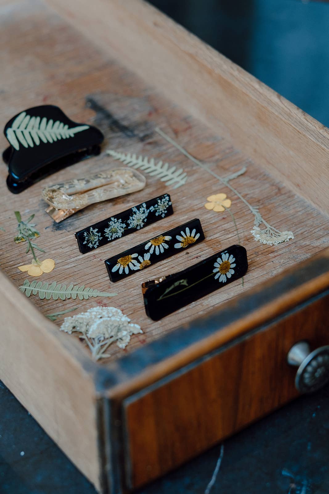 Black daisy pressed chamomile flower bar hair clip