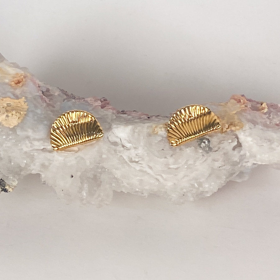 Gold Filled Studs Shell Pushback Earrings