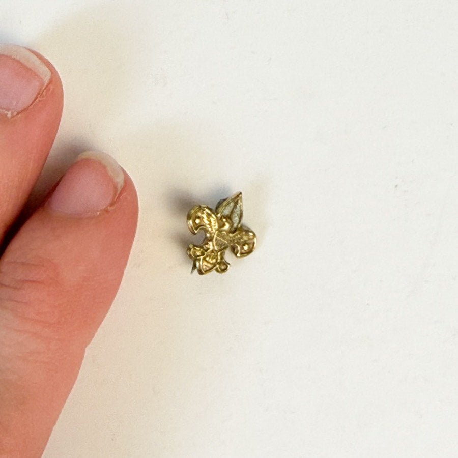 Teeny Tiny Little Boy Scouts Pin