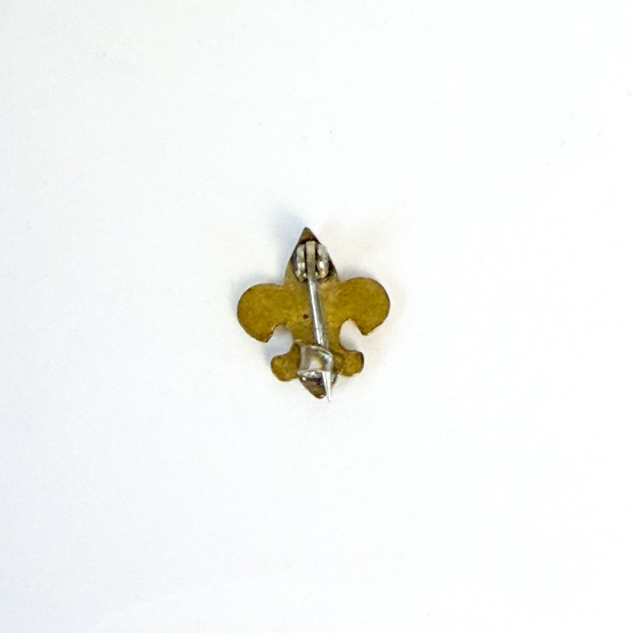 Teeny Tiny Little Boy Scouts Pin