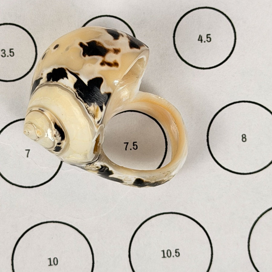 Vintage Carved Shell Ring