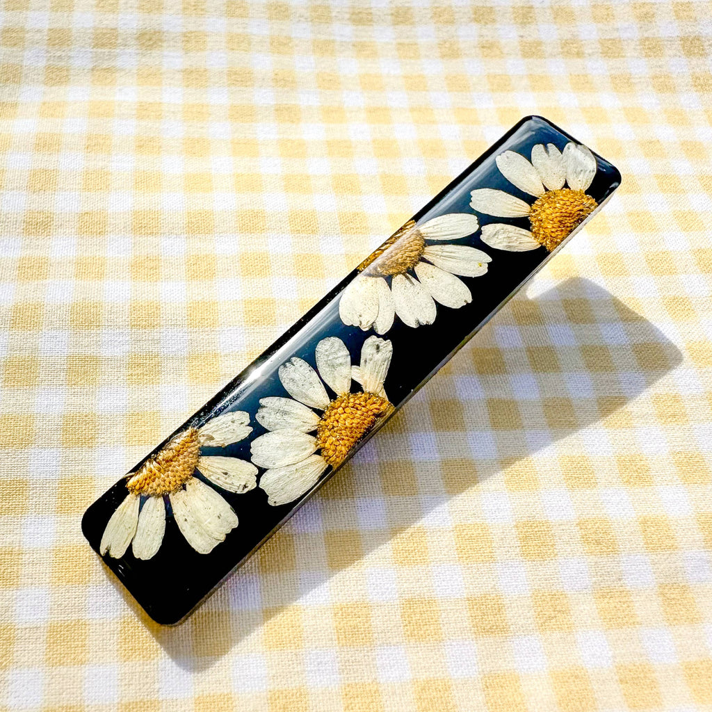 Black daisy pressed chamomile flower bar hair clip