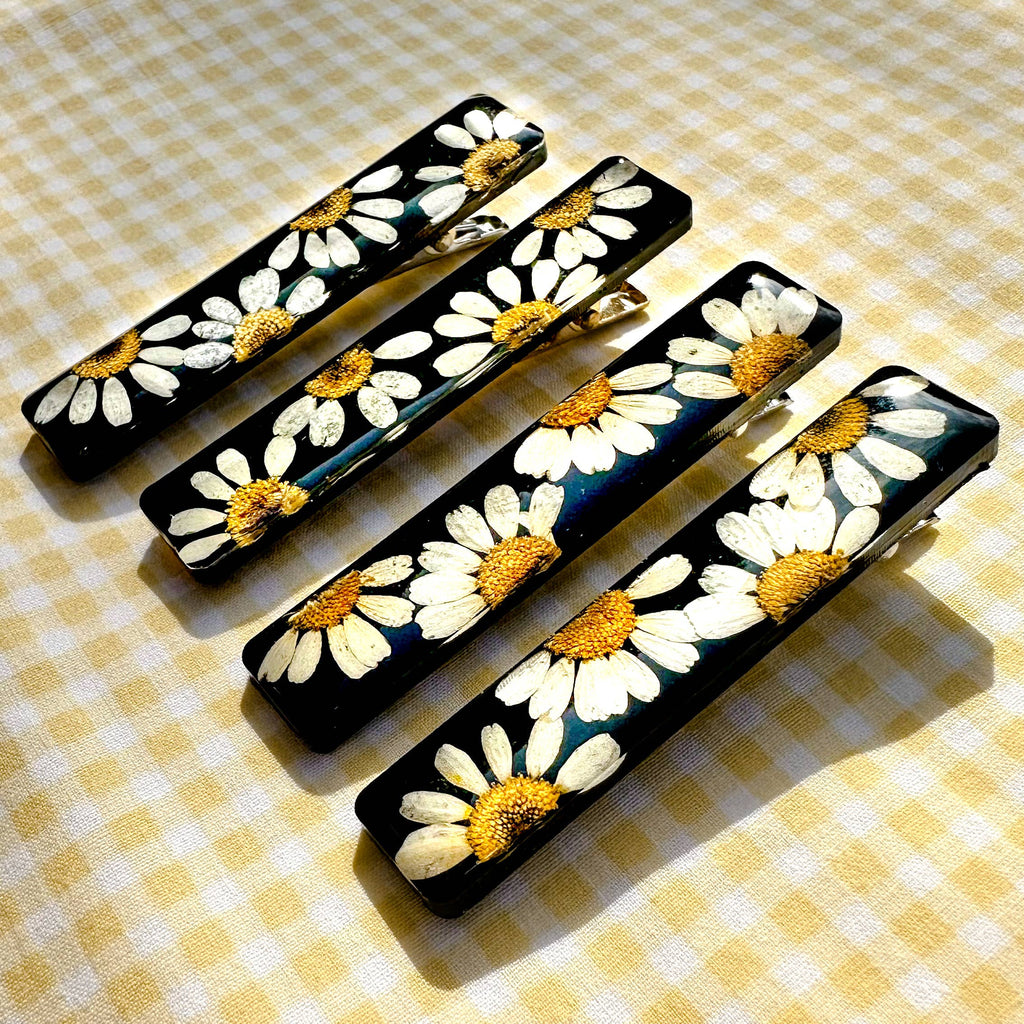 Black daisy pressed chamomile flower bar hair clip