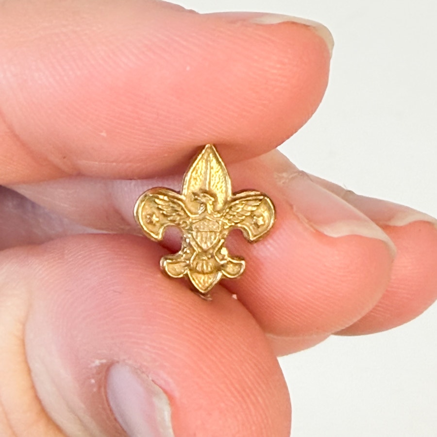 Teeny Tiny Little Boy Scouts Pin