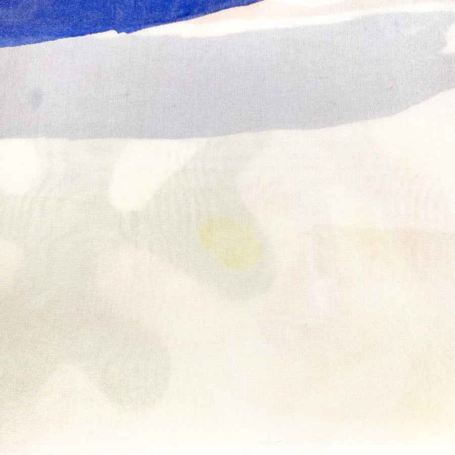 Block Print Silk Cream and Rainbow Color Rectangular Scarf