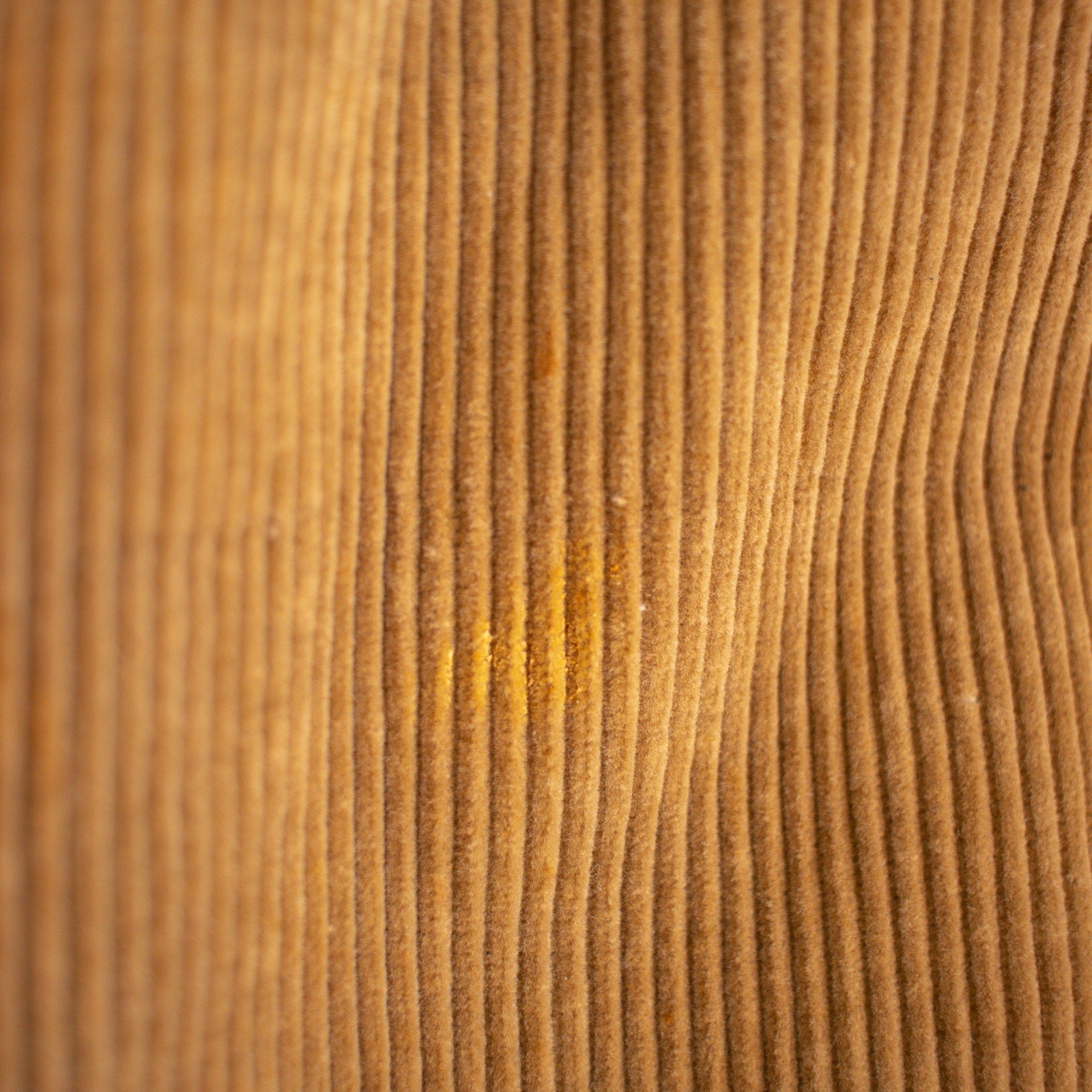 1947 Vintage Beige Corduroy Riding Pants Women's Size Small