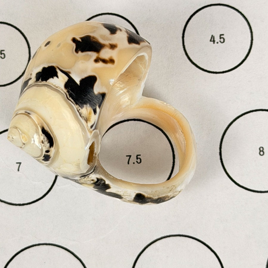 Vintage Carved Shell Ring
