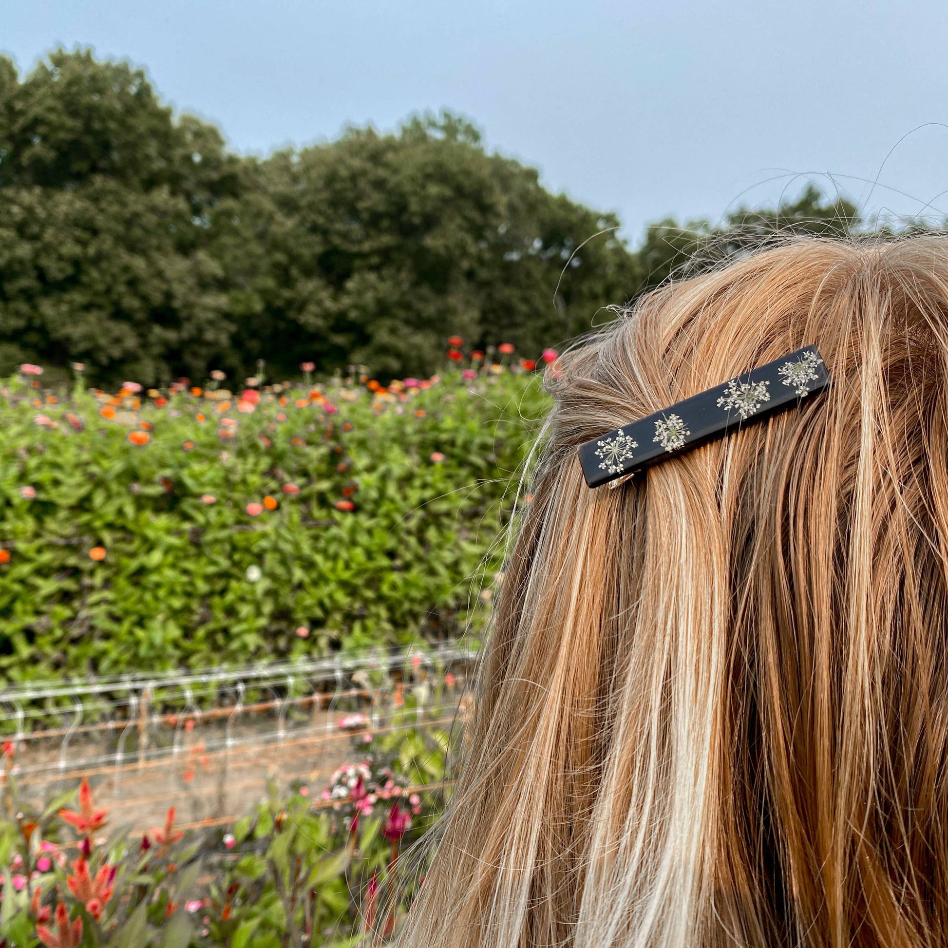Queen Anne’s Lace bar pressed wildflower hair clip