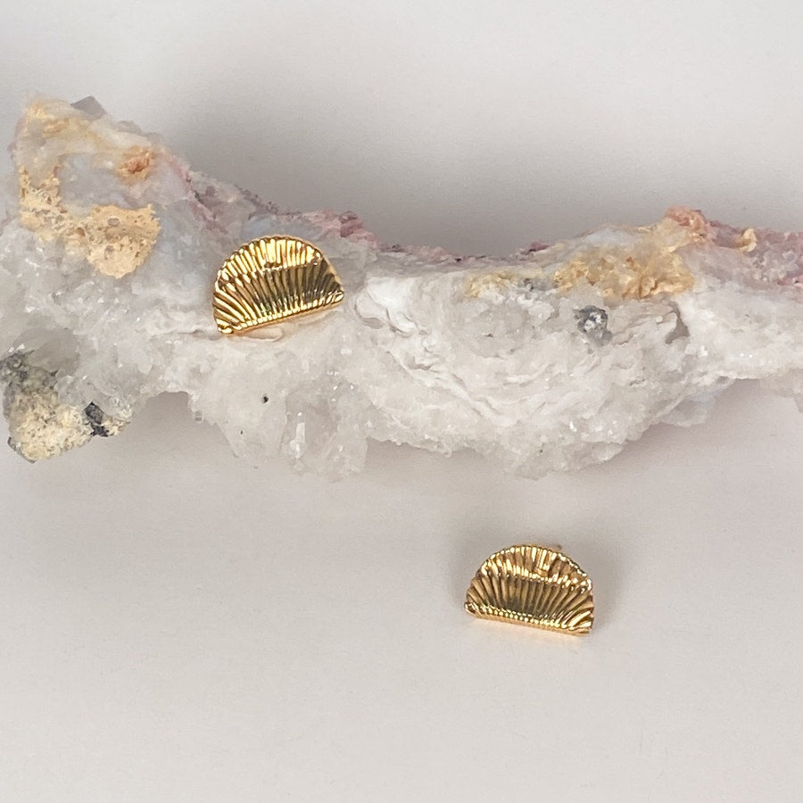 Gold Filled Studs Shell Pushback Earrings